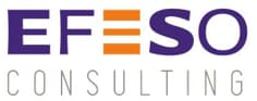 EFESO Consulting logo